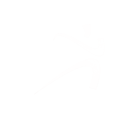 ptp-logo-wtext