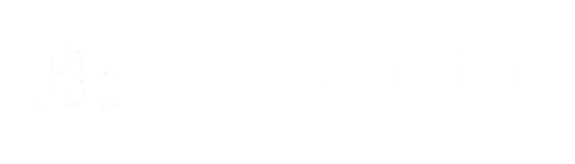 bn-logo-full-white-trans